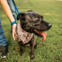 Thumbnail photo of Riley #1