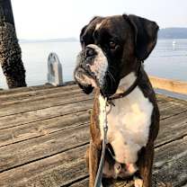 Thumbnail photo of Oscar #2