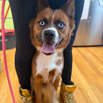 Thumbnail photo of Misha #3