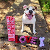 Thumbnail photo of Luna aka Loony Tunes #4