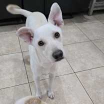 Thumbnail photo of Trudy #1