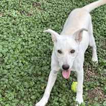 Thumbnail photo of Trudy #2