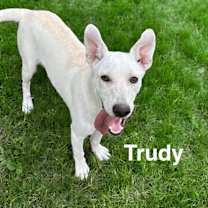 Thumbnail photo of Trudy #3