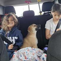 Thumbnail photo of Bear #2