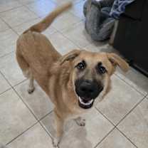 Thumbnail photo of Bear #3