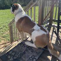 Thumbnail photo of Murphy #2