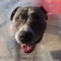 Thumbnail photo of Leia #2