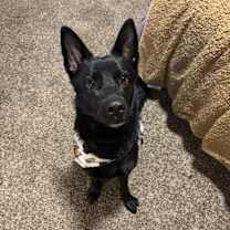 Thumbnail photo of lucie #1