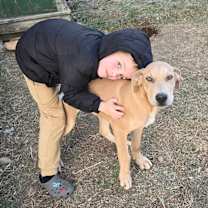 Thumbnail photo of Blue #4