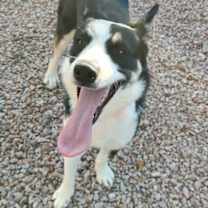 Thumbnail photo of Fiona #2