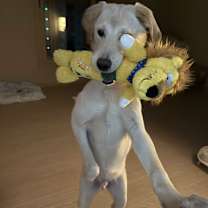 Thumbnail photo of TOM #2