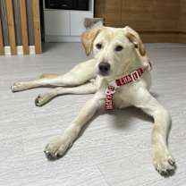 Thumbnail photo of TOM #3