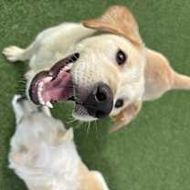 Thumbnail photo of TOM #4