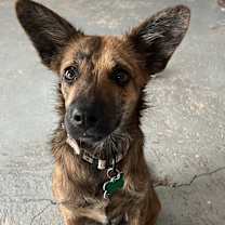 Thumbnail photo of Miel #1