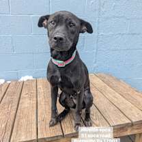 Thumbnail photo of Dolores #1