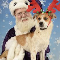 Thumbnail photo of Paisley #1