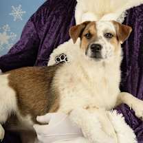 Thumbnail photo of Pebbles #1