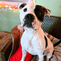 Thumbnail photo of Zac #1