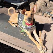 Thumbnail photo of Billy Jane #1