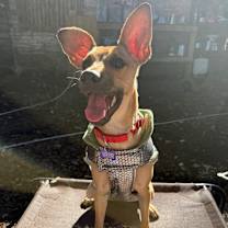 Thumbnail photo of Billy Jane #2