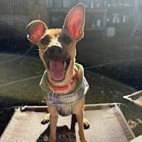 Thumbnail photo of Billy Jane #3