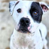 Thumbnail photo of Zac #3