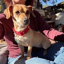 Thumbnail photo of Aradia #3