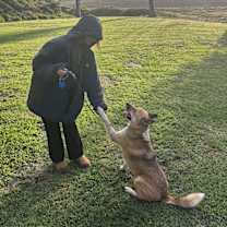 Thumbnail photo of Hank #2