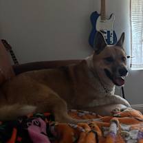 Thumbnail photo of Hank #4