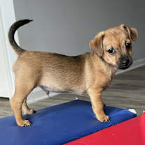 Thumbnail photo of Reef #1