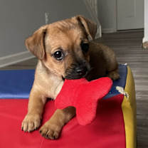 Thumbnail photo of Reef #4