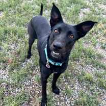 Thumbnail photo of Freya #2