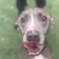 Thumbnail photo of Hercules #1