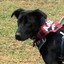 Thumbnail photo of Miracle #2