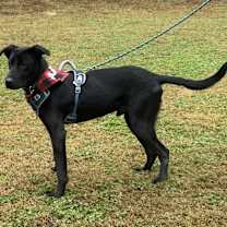 Thumbnail photo of Miracle #3