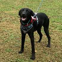 Thumbnail photo of Miracle #4