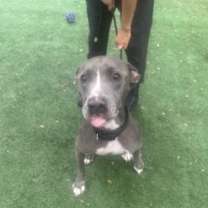 Thumbnail photo of Hercules #2