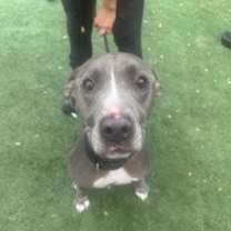 Thumbnail photo of Hercules #3