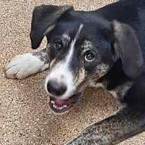 Thumbnail photo of Myla #3