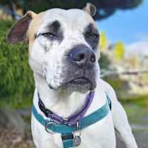 Thumbnail photo of Carl #2