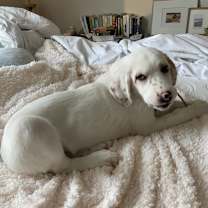 Thumbnail photo of Bruce Too #2