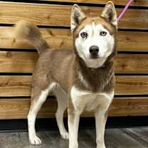 Thumbnail photo of Ruth #1