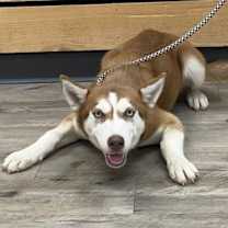 Thumbnail photo of Ruth #2