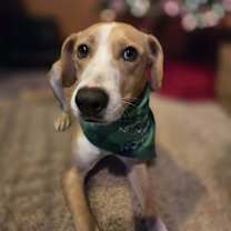 Thumbnail photo of Lizzy #1