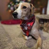 Thumbnail photo of Lizzy #2