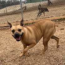 Thumbnail photo of Phoebe #3