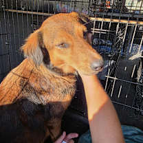 Thumbnail photo of Jypsy JuM #2