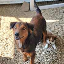 Thumbnail photo of Jypsy JuM #1