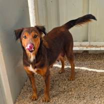 Thumbnail photo of Jypsy JuM #3