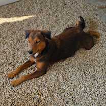 Thumbnail photo of Jypsy JuM #4